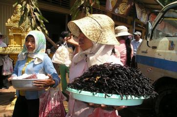 Учёные назвали лучших насекомых для экологичного сельского хозяйства